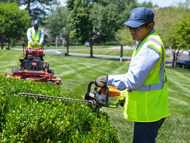 Landscaping Estimators In Texas