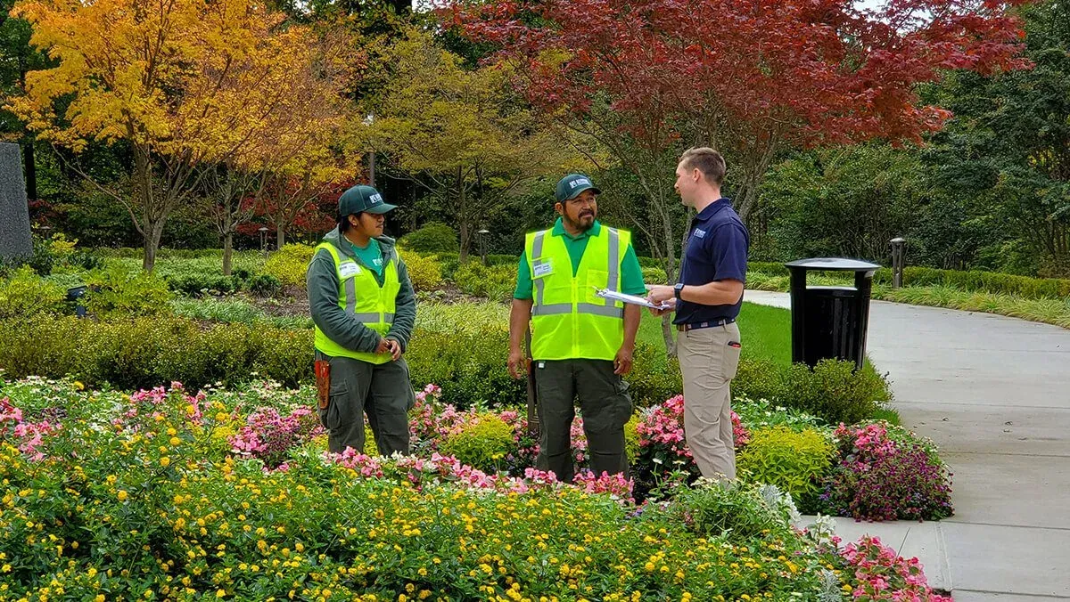 Texas Landscaping Estimating Services